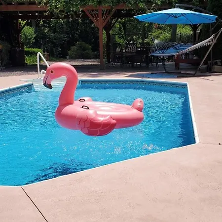 Sal'S Place - Close To Tourism, Private Yard, Pool!